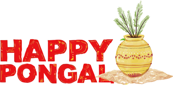 Transparent Pongal Plant Bromeliads Pineapple for Thai Pongal for Pongal