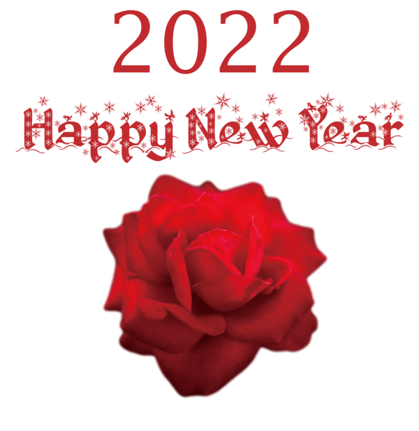 Transparent New Year Garden roses Cut flowers Rose for Happy New Year 2022 for New Year