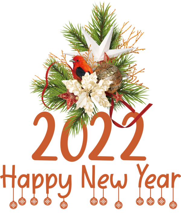 Transparent New Year Floral design Bauble Christmas Day for Happy New Year 2022 for New Year