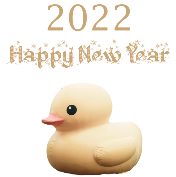 Transparent New Year Birds Duck Beak for Happy New Year 2022 for New Year