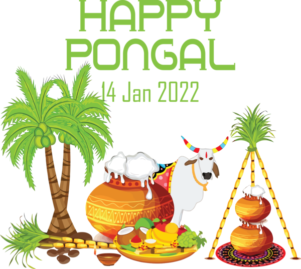 Transparent Pongal Pongal South India Makar Sankranti 2022 for Thai Pongal for Pongal