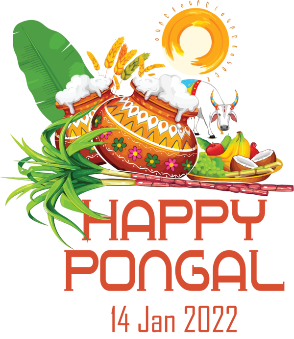 Transparent Pongal Pongal Festival Design for Thai Pongal for Pongal