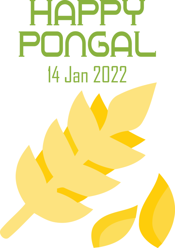 Transparent Pongal Leaf Yellow Line for Thai Pongal for Pongal