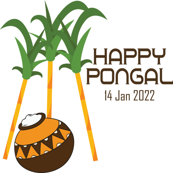 Transparent Pongal Pongal Design Logo for Thai Pongal for Pongal