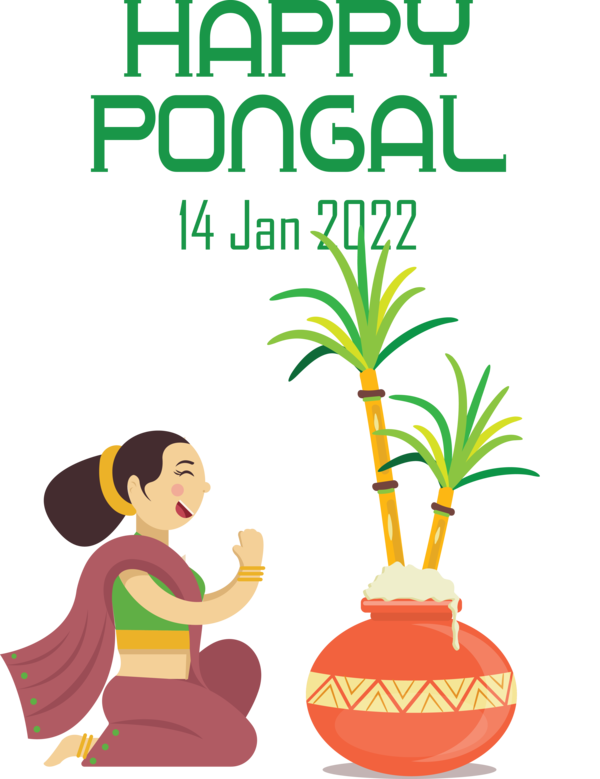 Transparent Pongal Pongal Festival Design for Thai Pongal for Pongal