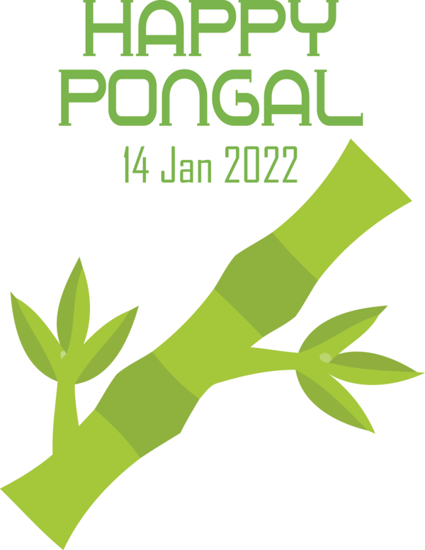 Transparent Pongal Leaf Logo Design for Thai Pongal for Pongal
