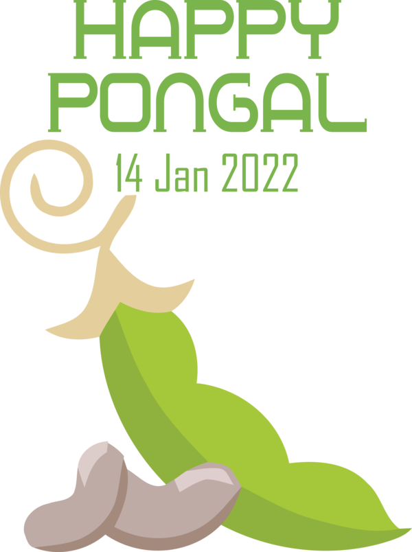 Transparent Pongal Leaf Plant stem Meter for Thai Pongal for Pongal