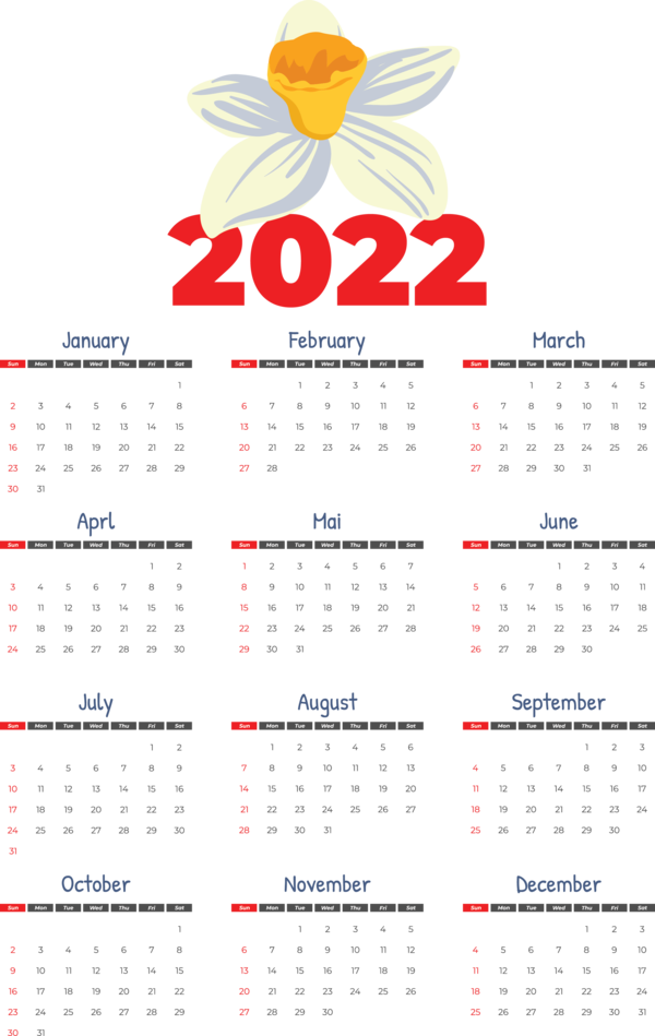 Transparent New Year calendar Line Font for Printable 2022 Calendar for New Year