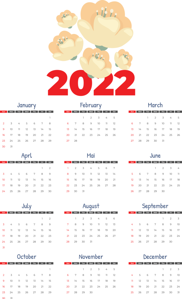 Transparent New Year Design calendar Line for Printable 2022 Calendar for New Year