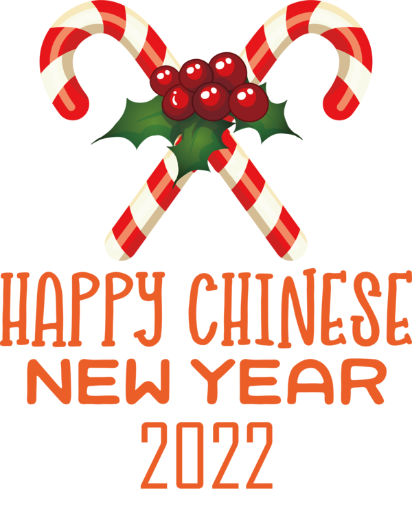 Transparent New Year Christmas Day Bauble Logo for Chinese New Year for New Year