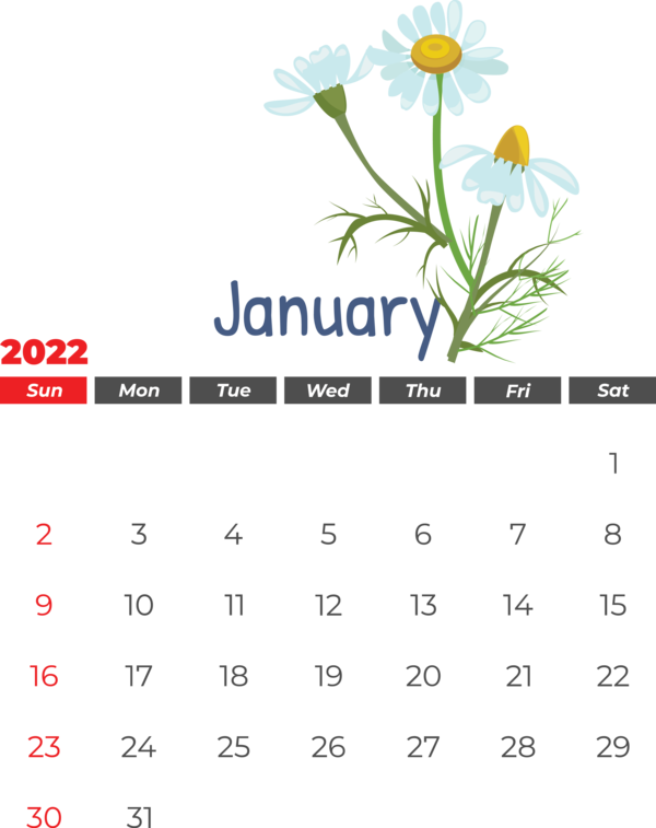 Transparent New Year Flower Design Drawing for Printable 2022 Calendar for New Year