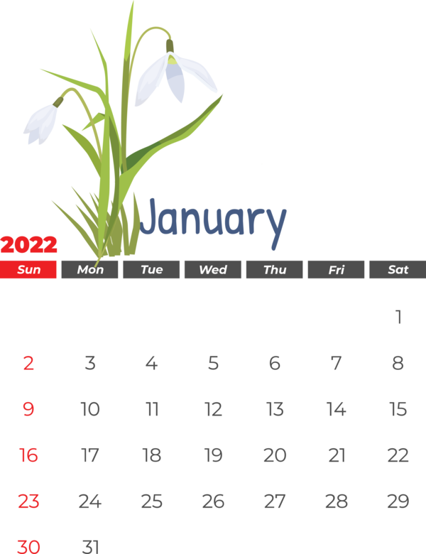 Transparent New Year Flower Green Lotus Leaf Tulipas Amarelas for Printable 2022 Calendar for New Year