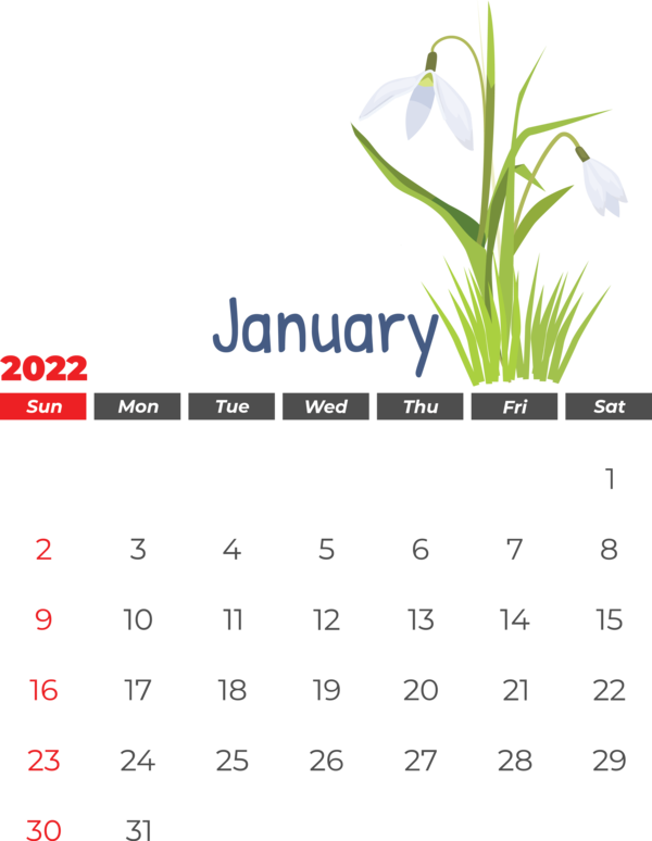 Transparent New Year Design Floral design Flower for Printable 2022 Calendar for New Year
