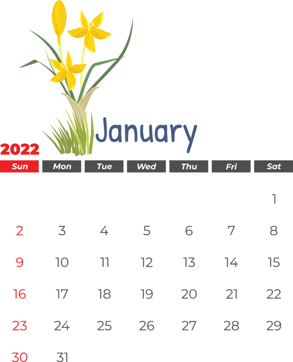 Transparent New Year Flower Design Painting for Printable 2022 Calendar for New Year