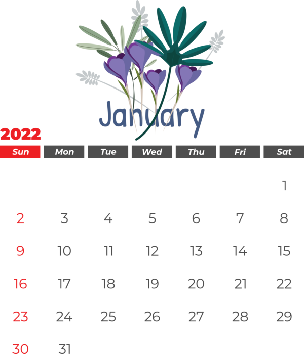 Transparent New Year Flower Drawing Design for Printable 2022 Calendar for New Year
