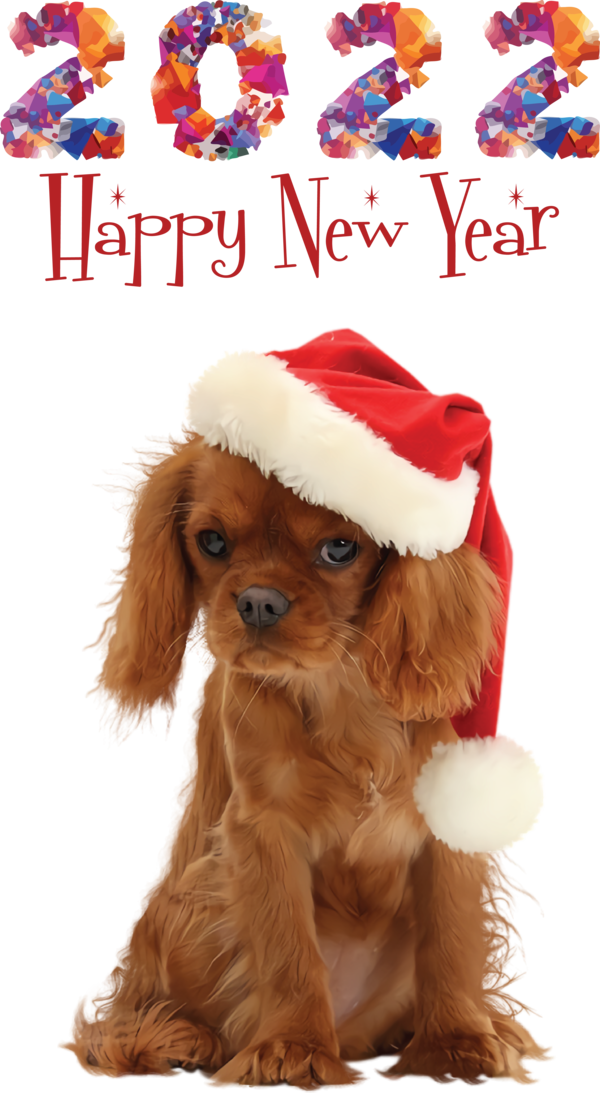 Transparent New Year Cavalier King Charles Spaniel Spaniel Puppy for Happy New Year 2022 for New Year
