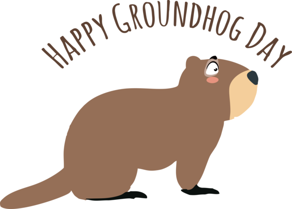 Transparent Groundhog Day Rodents Beaver Whiskers for Groundhog for Groundhog Day
