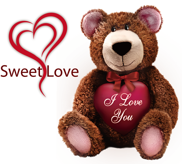 Transparent Valentine's Day Teddy bear Valentine's Day Sticker for Valentines Day Quotes for Valentines Day
