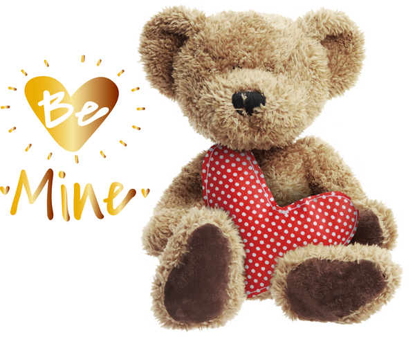Transparent Valentine's Day Bears Teddy bear Plush for Valentines for Valentines Day