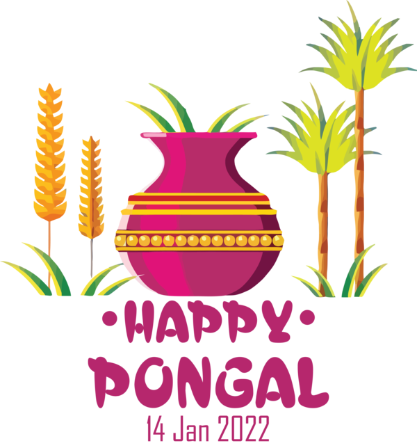 Transparent Pongal Pongal Festival Mattu Pongal for Thai Pongal for Pongal