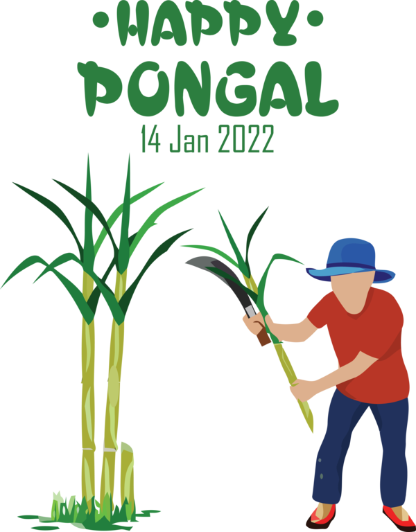 Transparent Pongal Royalty-free Design for Thai Pongal for Pongal