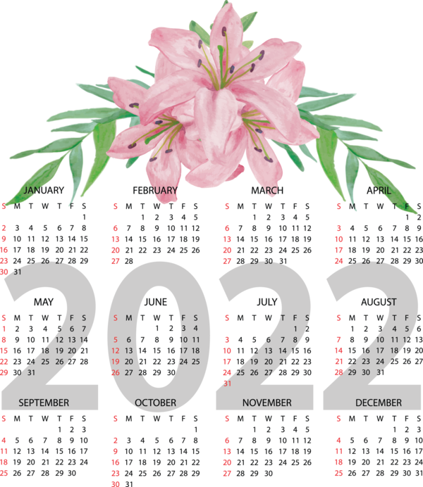 Transparent New Year Flower Floral design Design for Printable 2022 Calendar for New Year