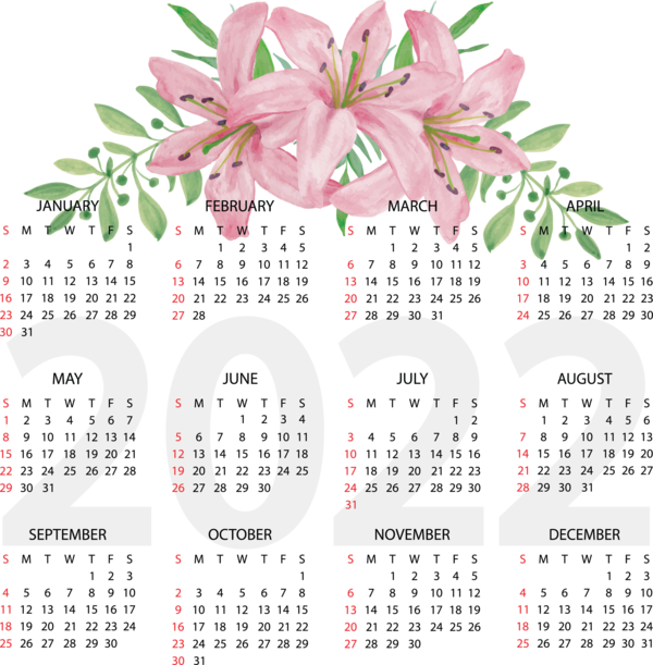 Transparent New Year Ripley's Believe It or Not! Orlando Flower for Printable 2022 Calendar for New Year