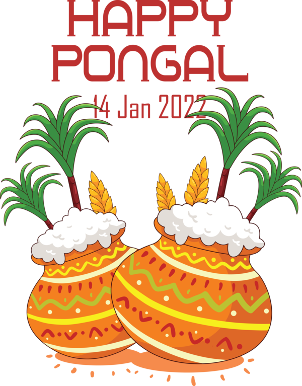 Transparent Pongal Pongal Festival Sweet pongal for Thai Pongal for Pongal