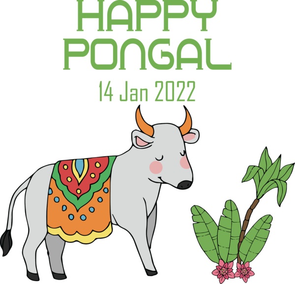 Transparent Pongal Pongal Festival Pongal for Thai Pongal for Pongal
