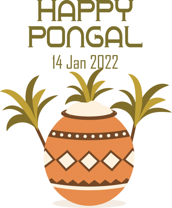 Transparent Pongal Pongal Rangoli Pongal for Thai Pongal for Pongal