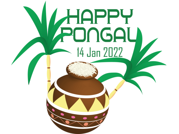 Transparent Pongal Coconut Drawing Icon for Thai Pongal for Pongal