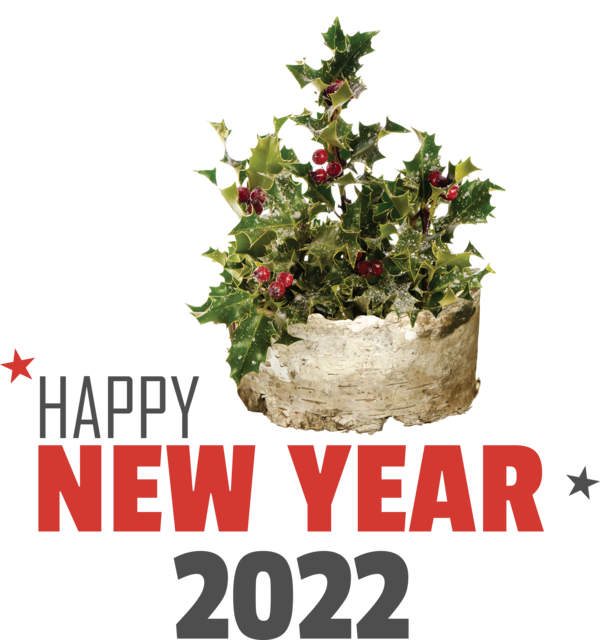 Transparent New Year Christmas Day Royalty-free Common holly for Happy New Year 2022 for New Year