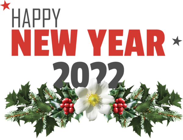 Transparent New Year Mistletoe Mutts and Mistletoe Viscum album for Happy New Year 2022 for New Year