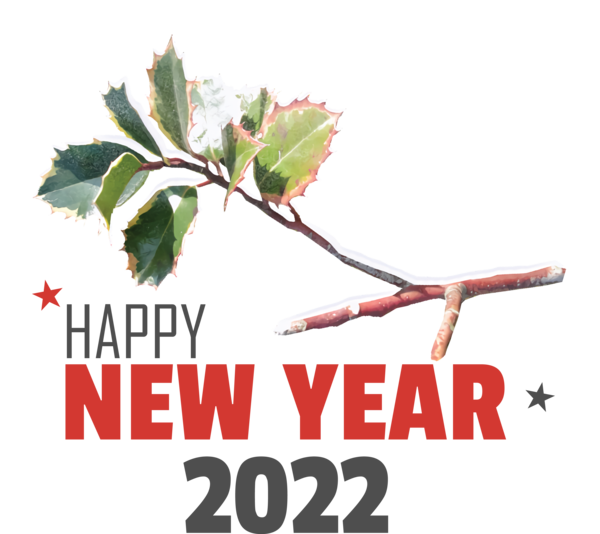 Transparent New Year Leaf Plant stem Twig for Happy New Year 2022 for New Year