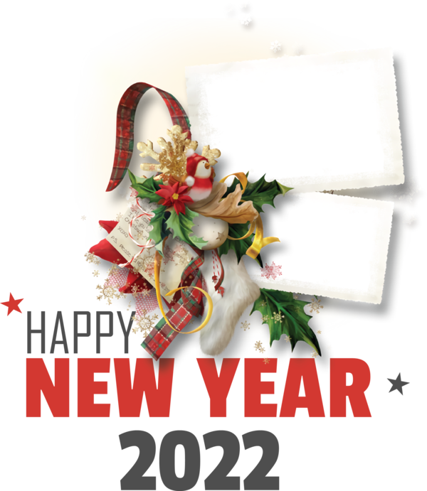 Transparent New Year Bauble Cut flowers Christmas Day for Happy New Year 2022 for New Year