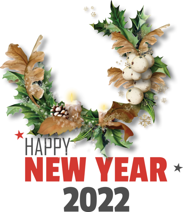 Transparent New Year Ded Moroz New Year Christmas Day for Happy New Year 2022 for New Year
