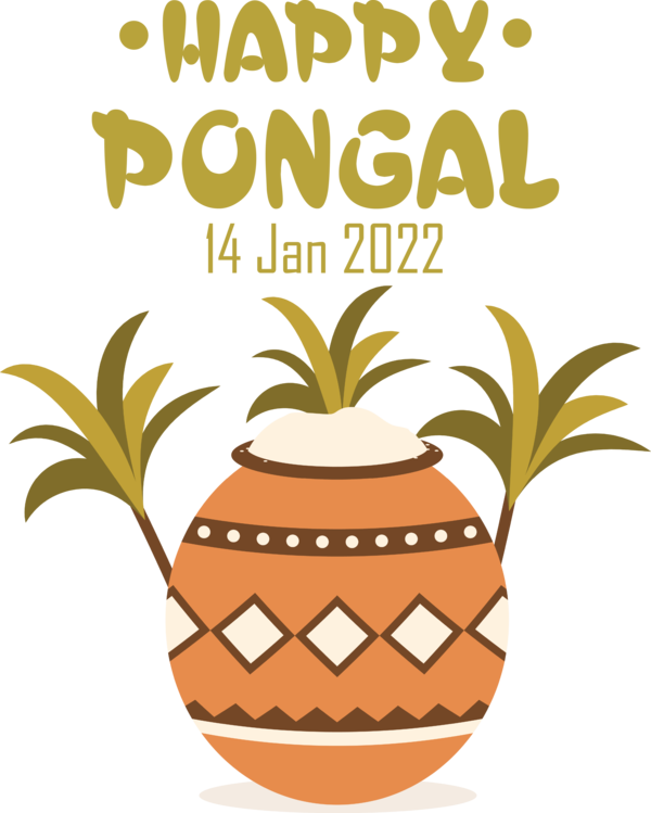 Transparent Pongal Pongal Pongal Rangoli Festival for Thai Pongal for Pongal