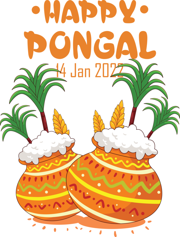 Transparent Pongal Pongal Festival Rangoli for Thai Pongal for Pongal