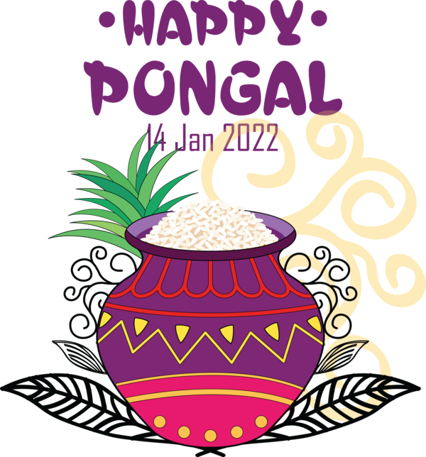 Transparent Pongal Pongal Rangoli Mattu Pongal for Thai Pongal for Pongal