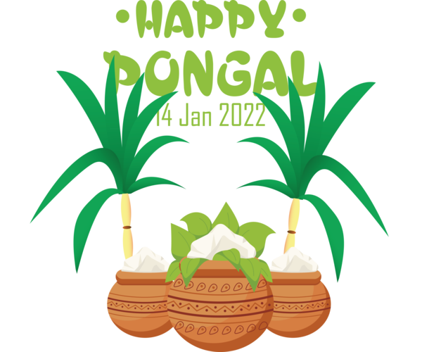 Transparent Pongal Pongal Pongal Sweet pongal for Thai Pongal for Pongal