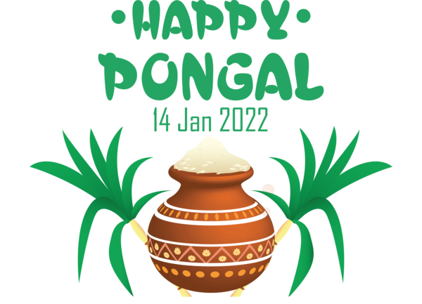 Transparent Pongal Pongal Pongal Festival for Thai Pongal for Pongal
