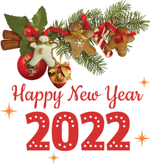 Transparent New Year Mrs. Claus Ded Moroz New Year for Happy New Year 2022 for New Year