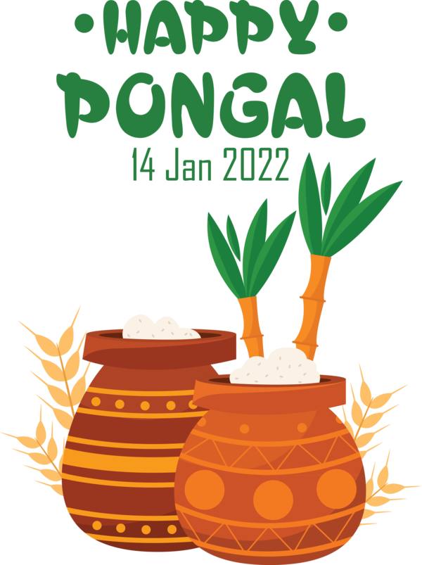 Transparent Pongal Pongal Pongal Rangoli for Thai Pongal for Pongal