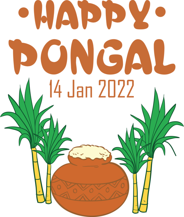 Transparent Pongal Pongal Rangoli Festival for Thai Pongal for Pongal