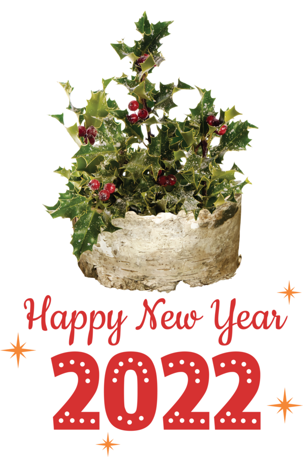 Transparent New Year Christmas decoration Christmas Day Transparent Christmas for Happy New Year 2022 for New Year