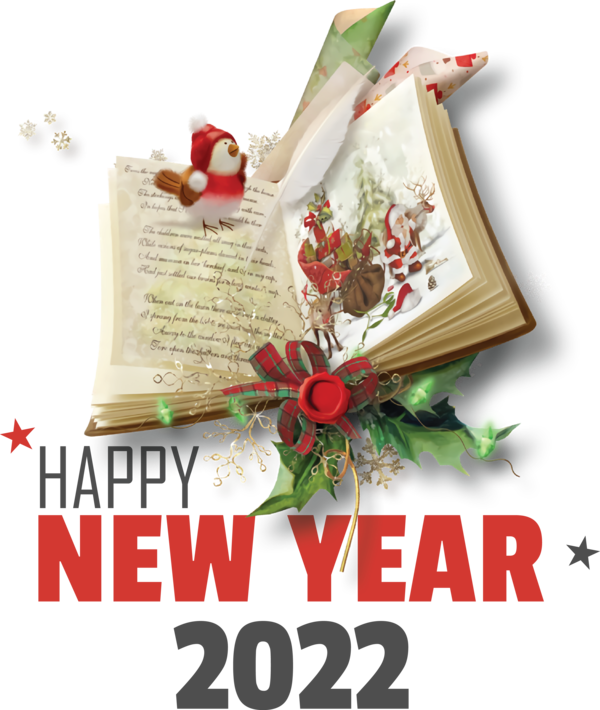 Transparent New Year Ded Moroz Mrs. Claus Christmas Day for Happy New Year 2022 for New Year