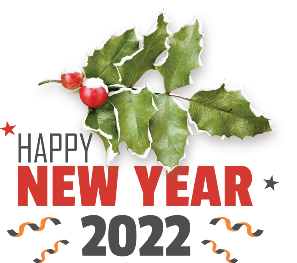 Transparent New Year Christmas Graphics Père Noël Christmas Day for Happy New Year 2022 for New Year
