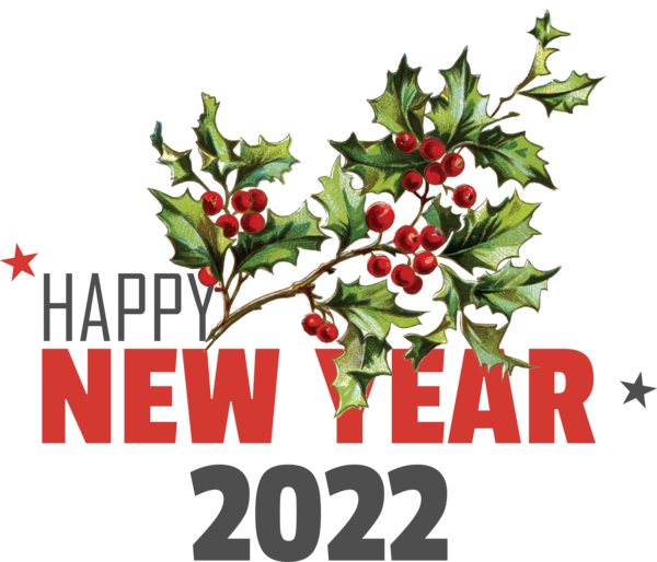 Transparent New Year Common holly Fruit art Painting for Happy New Year 2022 for New Year
