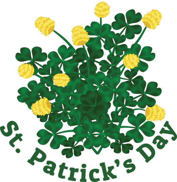 Transparent St. Patrick's Day Cut flowers Leaf for Saint Patrick for St Patricks Day