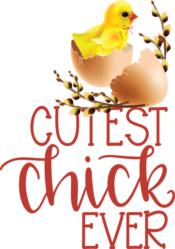 Transparent Easter Birds Beak Logo for Easter Chick for Easter